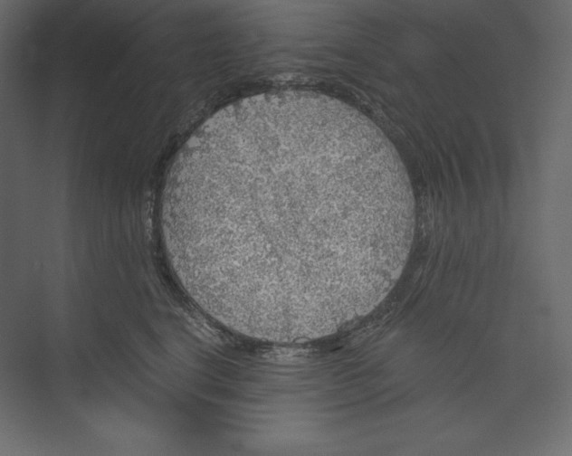 X0000073390664200608181005