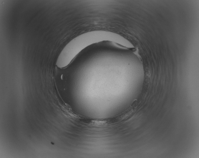 X0000073390665200608181005