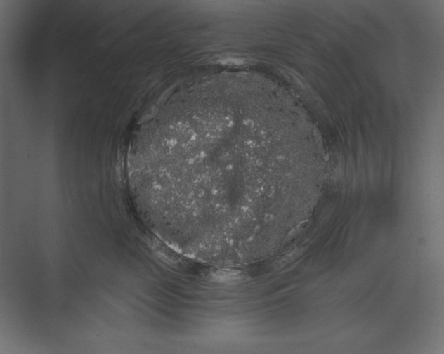 X0000073390669200608181005