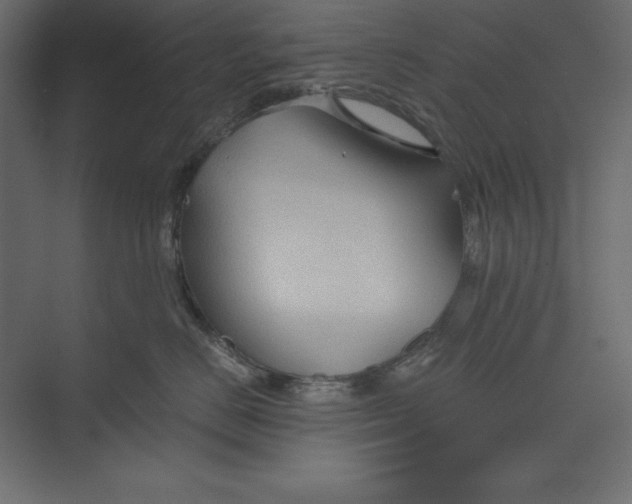X0000073390670200608181005