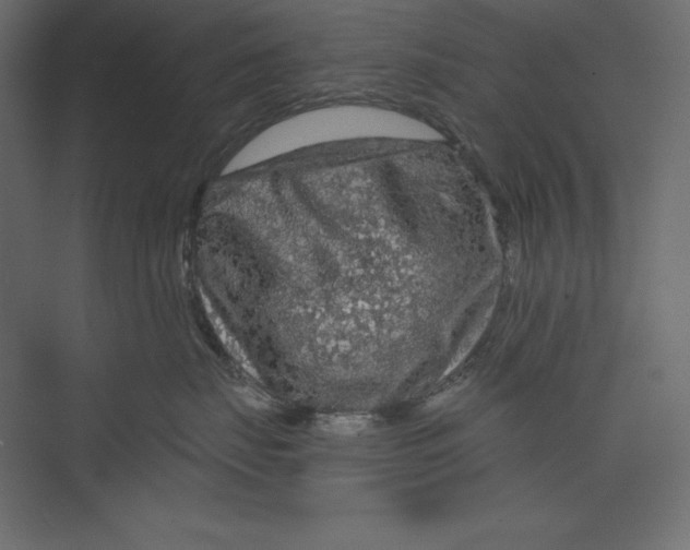X0000073390671200608181005
