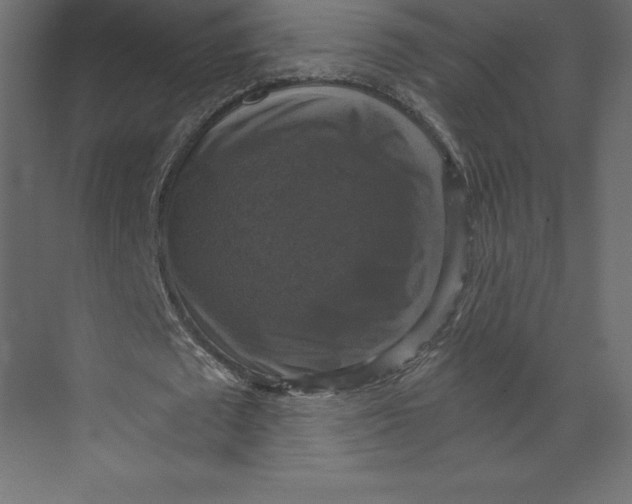 X0000073390673200608181004