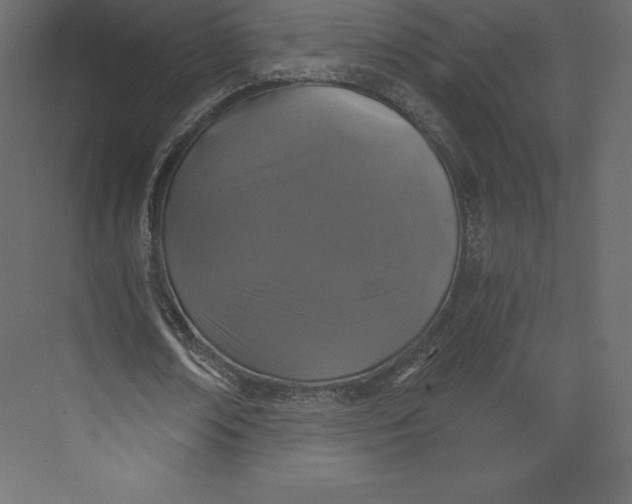 X0000073390674200608181004