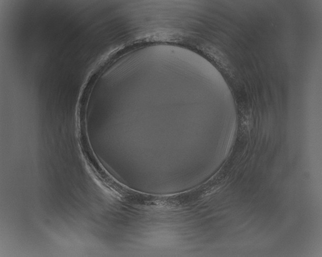 X0000073390678200608181004