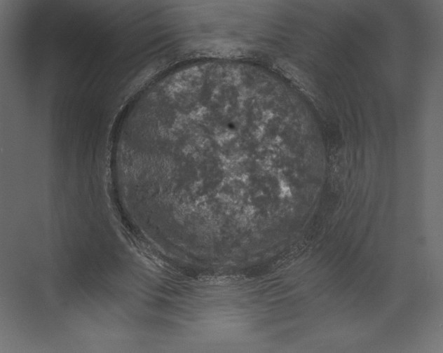 X0000073390679200608181004