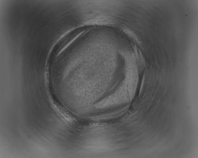 X0000073390680200608181004