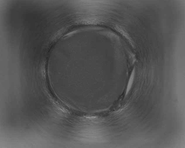 X0000073390681200608181004