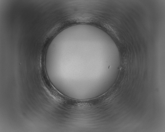 X0000073390686200608181004
