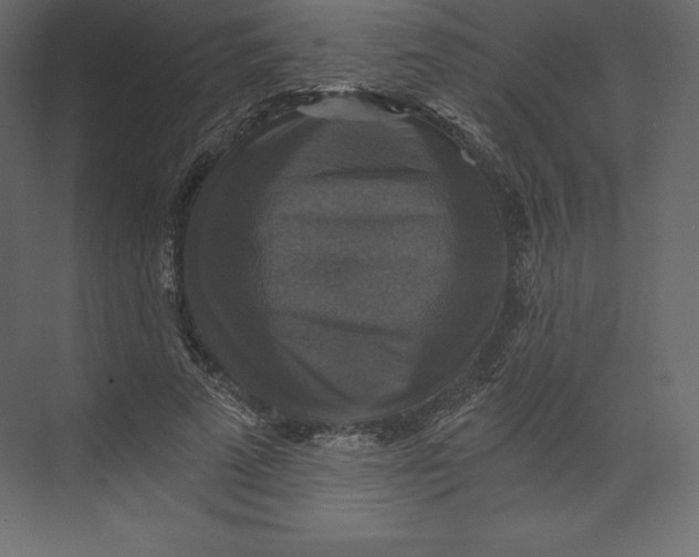 X0000073390689200608181004