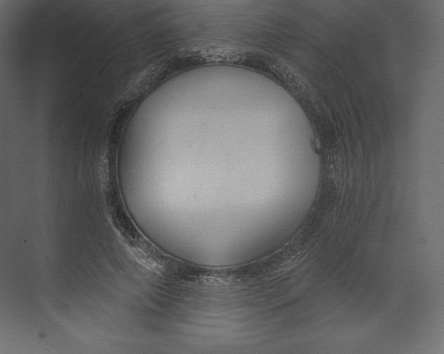 X0000073390690200608181004
