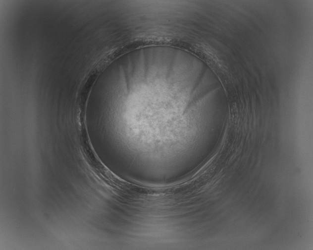 X0000073390692200608181004