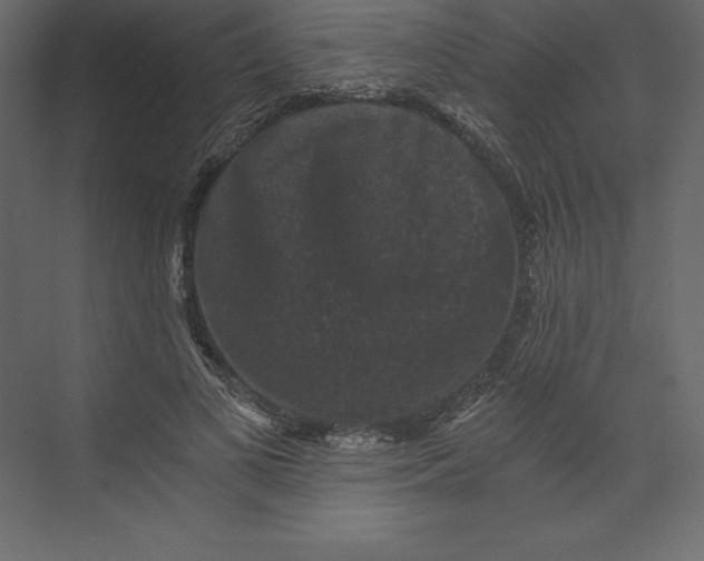 X0000073390693200608181004