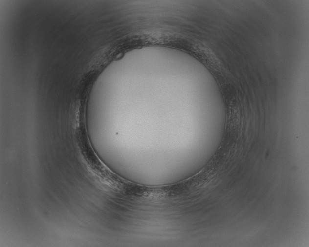 X0000073390694200608181004