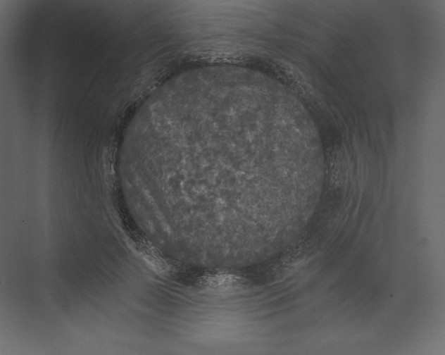X0000073390695200608181004