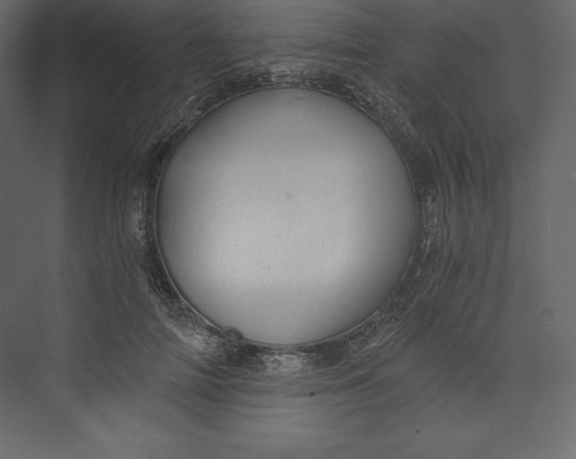 X0000073390698200608181004