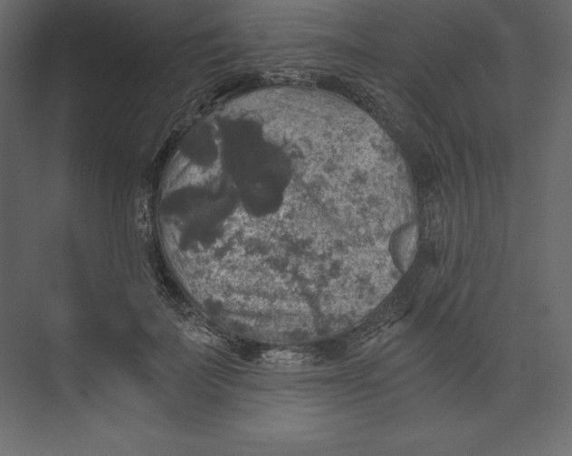 X0000073390699200608181004