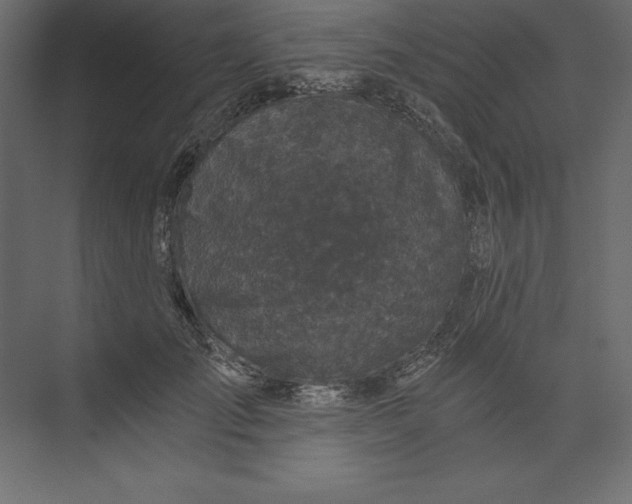 X0000073390701200608181004