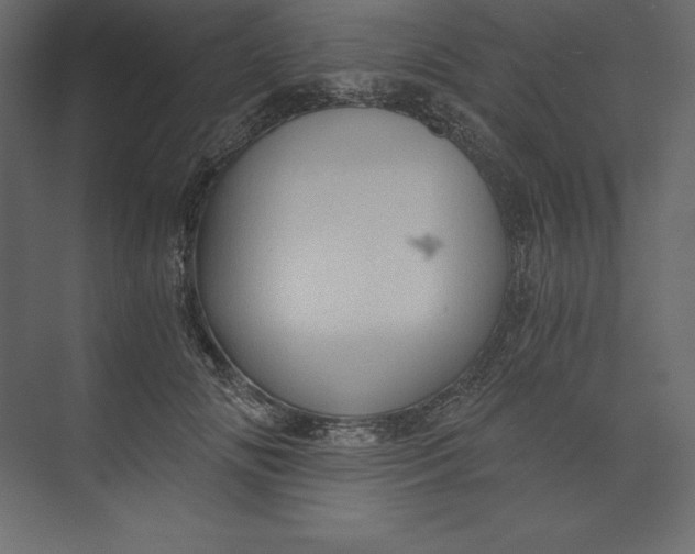 X0000073390702200608181003