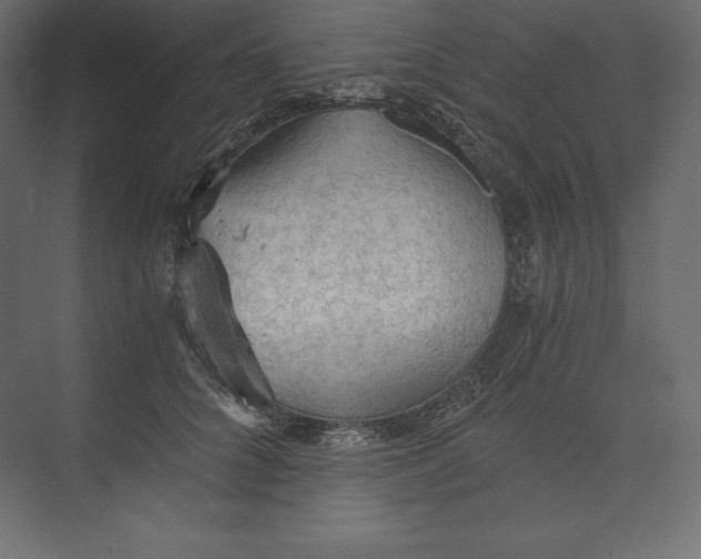 X0000073390704200608181003
