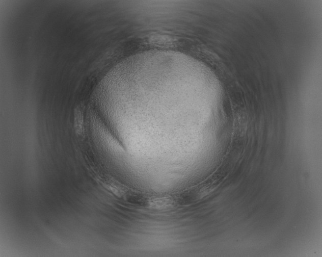 X0000073390705200608181003