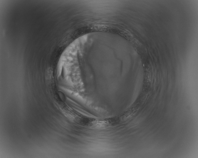 X0000073390711200608181003