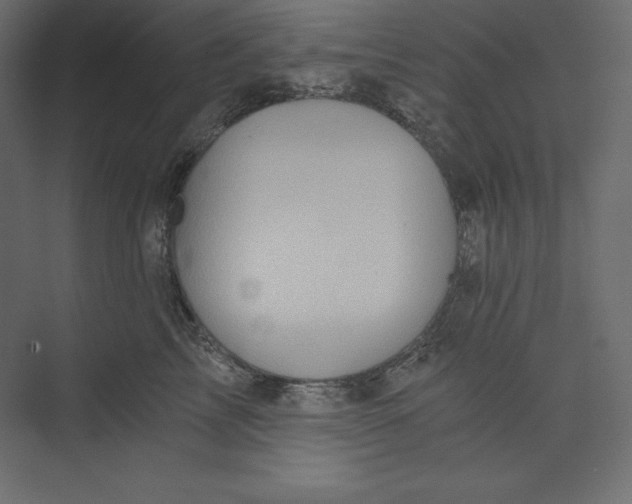 X0000073390713200608181003