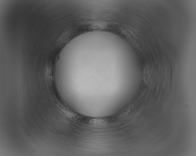 X0000073390714200608181003