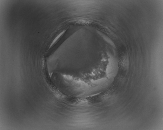 X0000073390715200608181003