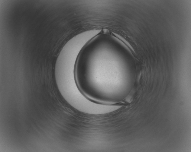 X0000073390716200608181003