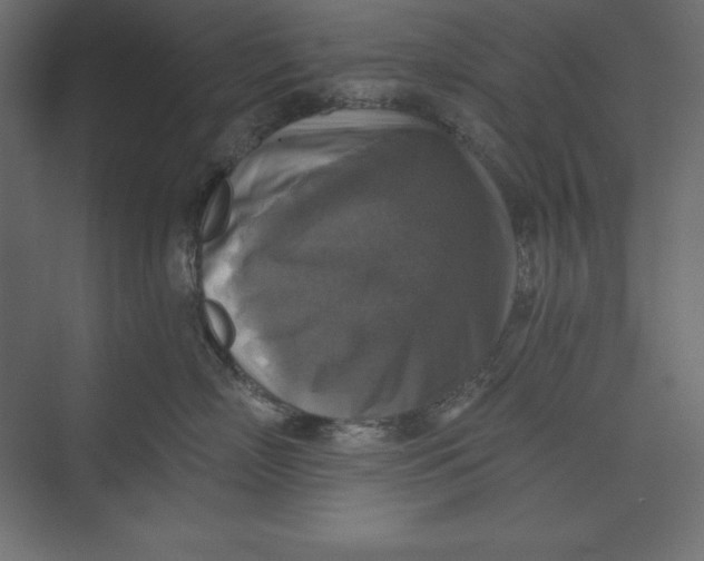 X0000073390718200608181003