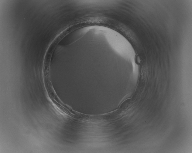 X0000073390722200608181002