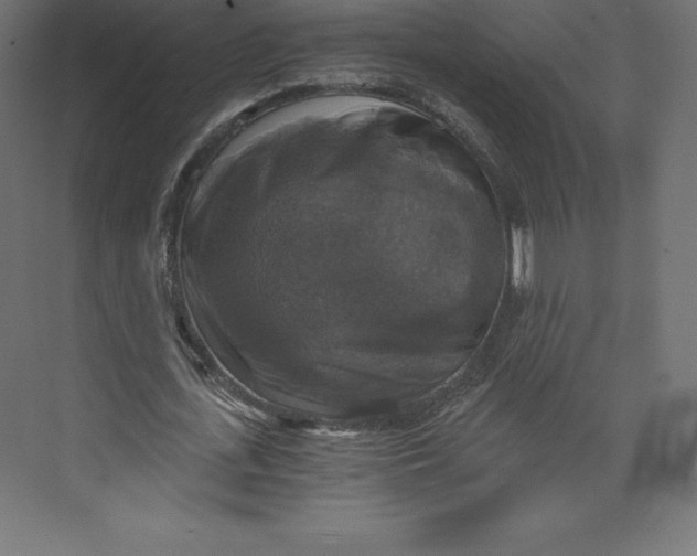 X0000073390723200608181002