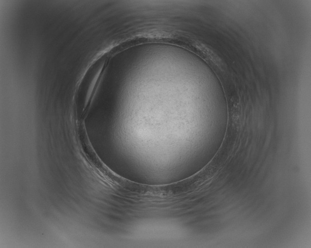X0000073390727200608181002