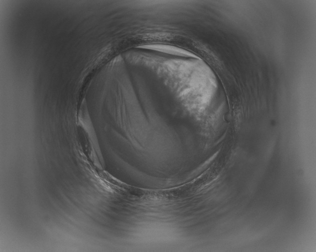 X0000073390729200608181003