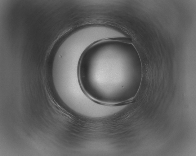 X0000073390731200608181003