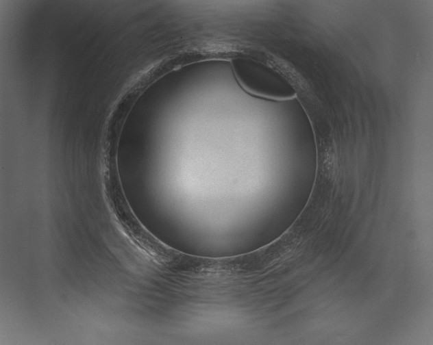 X0000073390732200608181003
