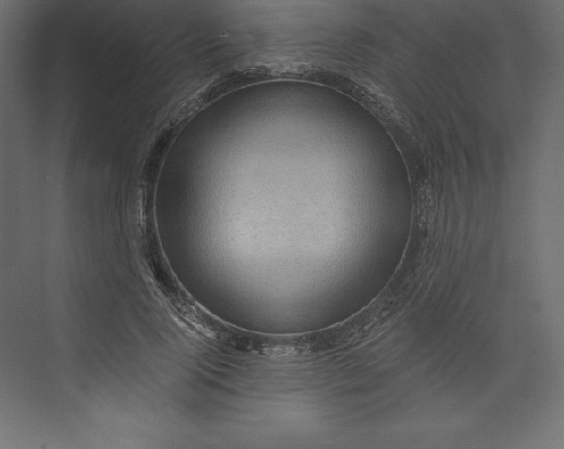 X0000073390740200608181003