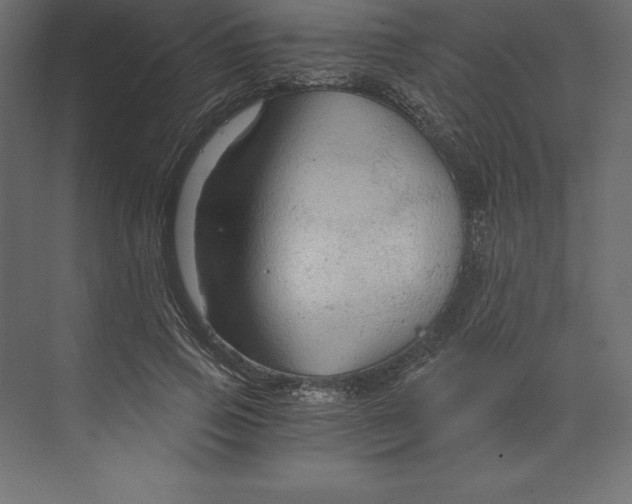 X0000073390741200608181003
