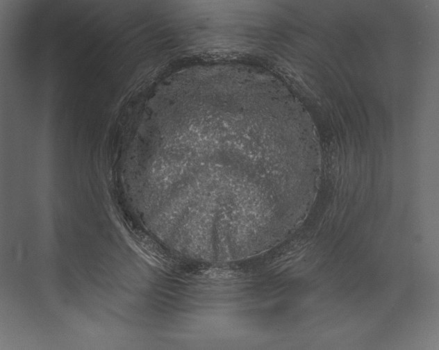 X0000073390742200608181003