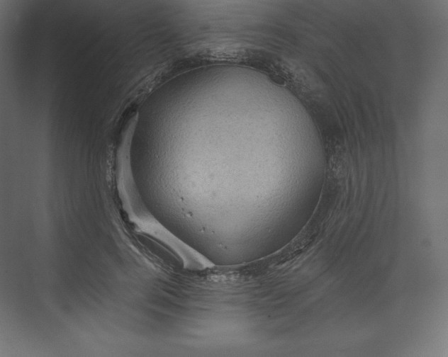 X0000073390744200608181003