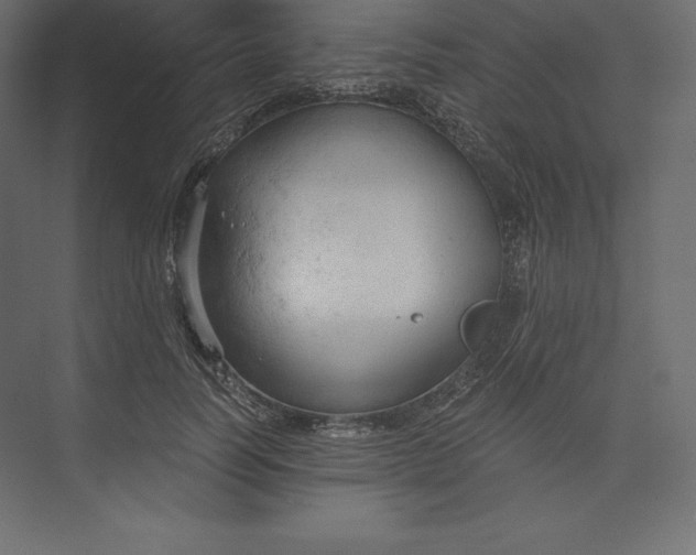 X0000073390746200608181003