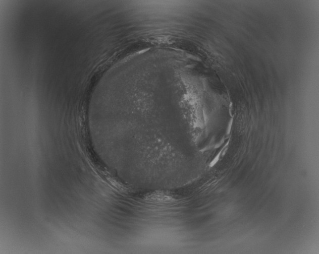 X0000073390747200608181003