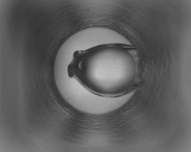 X0000073390748200608181003