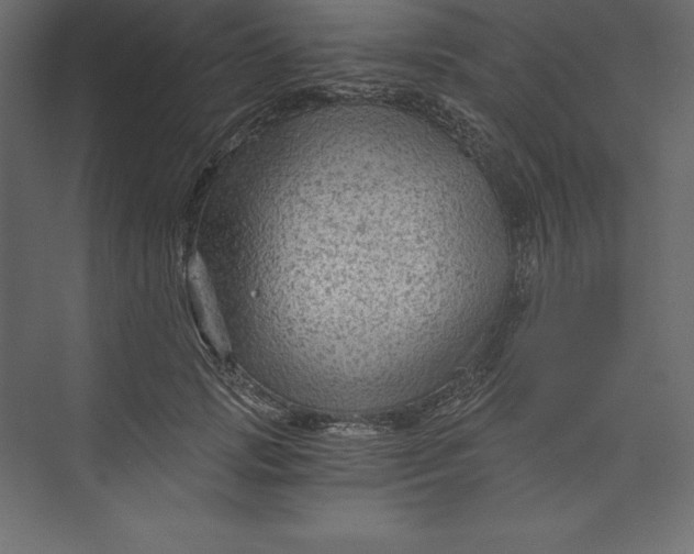 X0000073390749200608181003