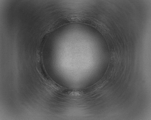 X0000073390751200608181003
