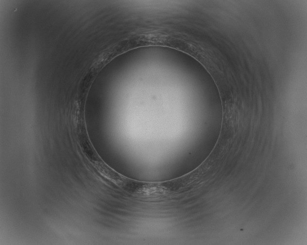 X0000073390752200608181003