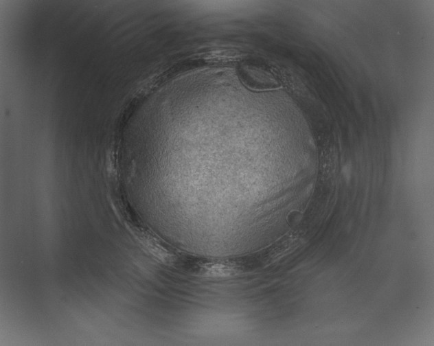 X0000073390755200608181003