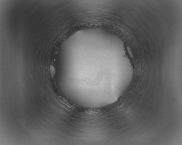 X0000073390756200608181003