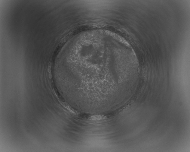 X0000073390757200608181003