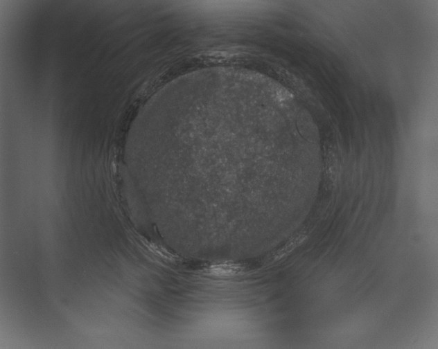 X0000073390758200608181003